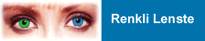 lens.gif (42051 bytes)