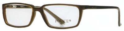 police7.jpg (6438 bytes)